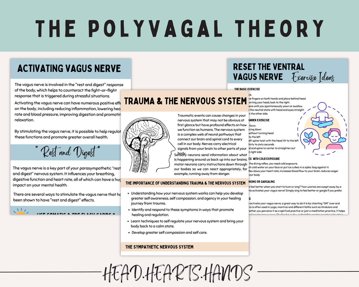 Polyvagal Theory Chart Nervous System Regulation TherapywithCT