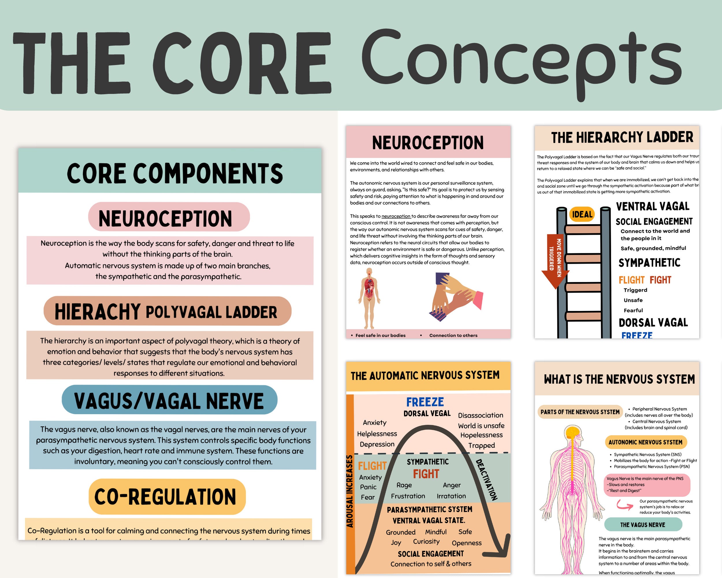 Polyvagal Theory Chart Nervous System Regulation TherapywithCT