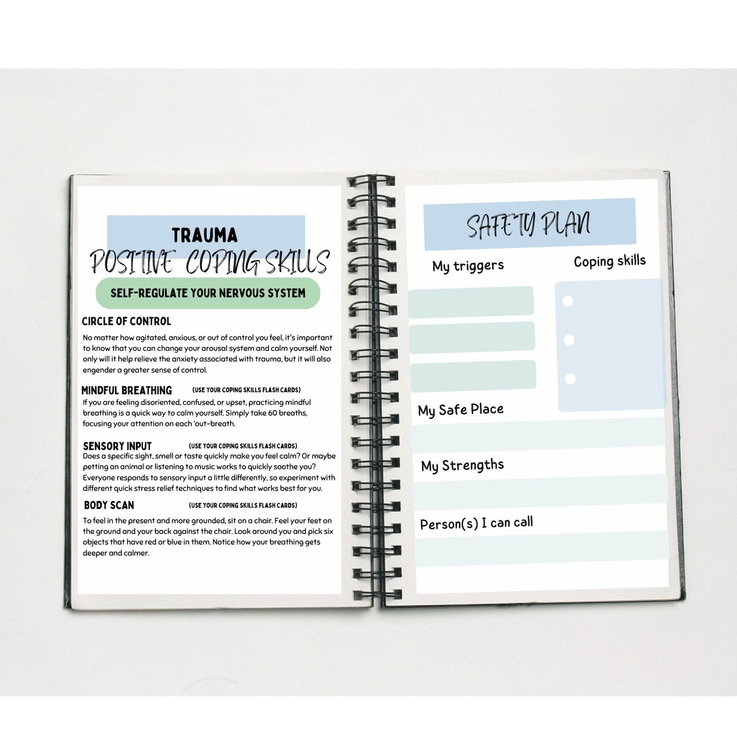 Image of a Circle of Control worksheet, part of TherapyWithCT’s Crisis Safety Plan Toolkit, helping users differentiate what they can and cannot control.