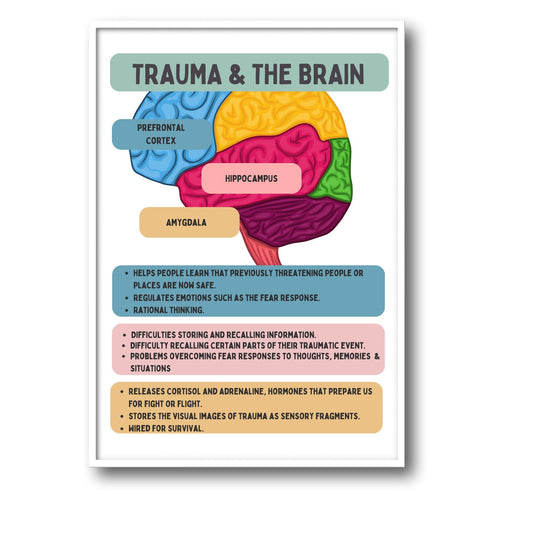 Trauma and the Brain Poster: Therapy Office Decor