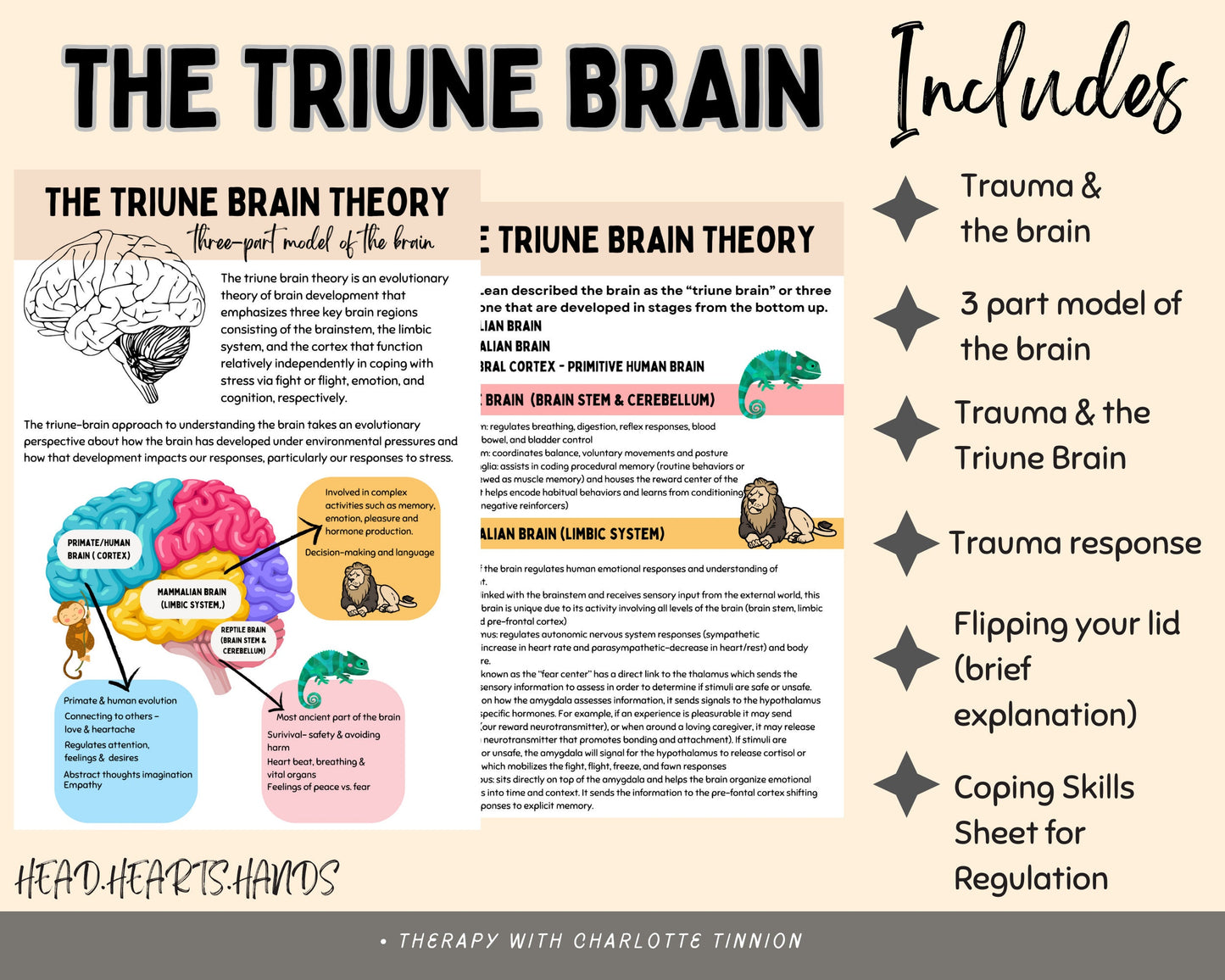 Triune Brain Model: Understanding Trauma Response.