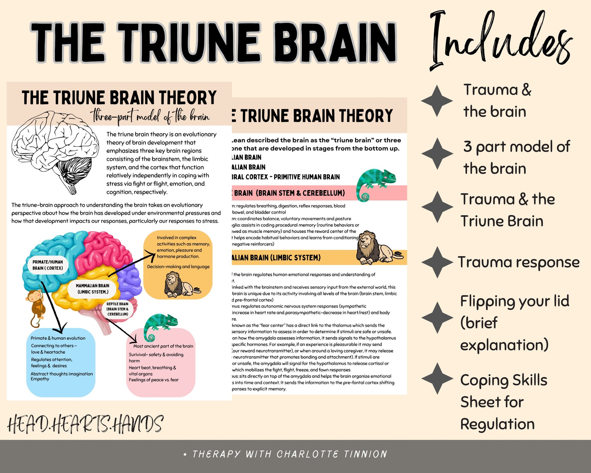 Triune Brain Model: Understanding Trauma Response.