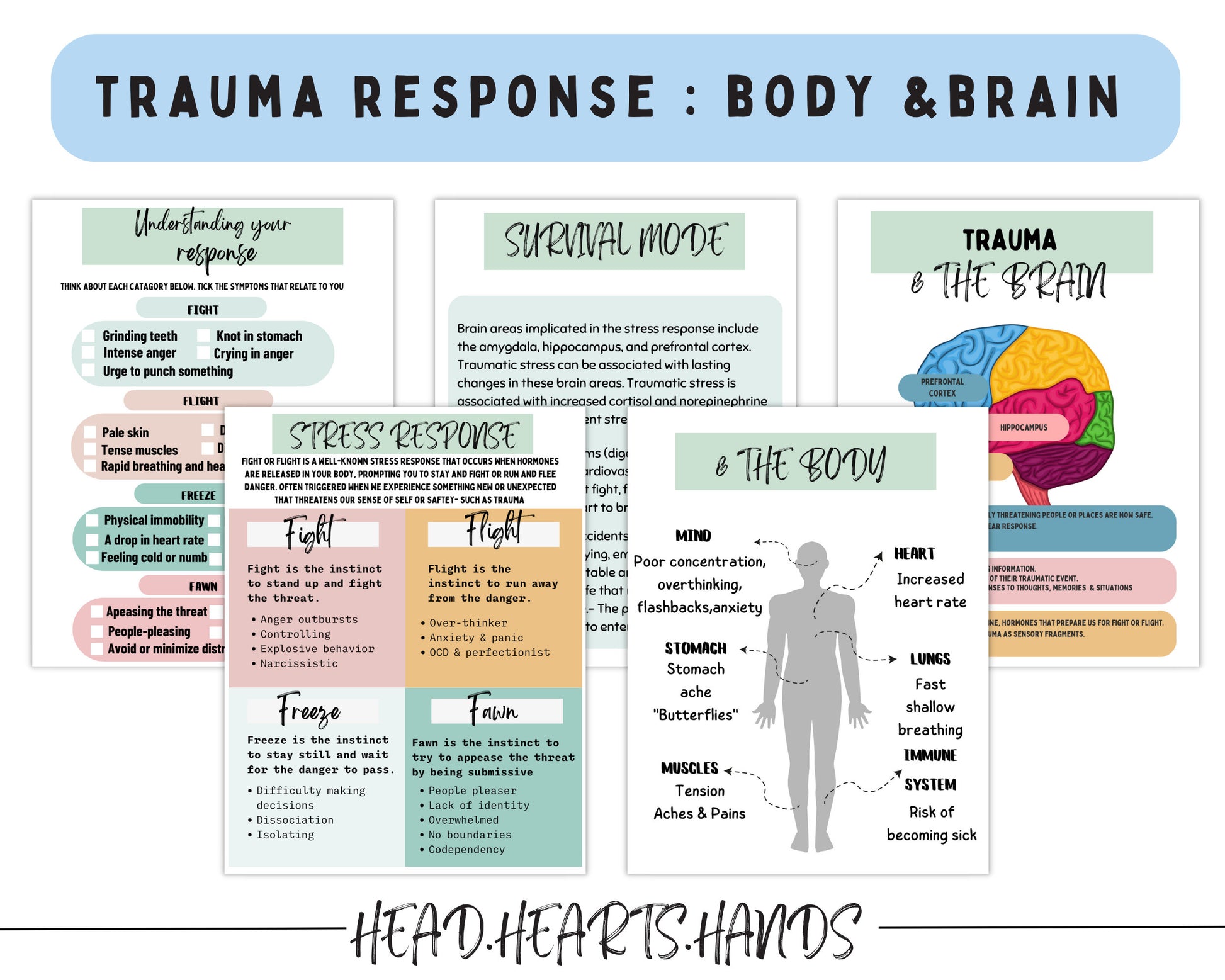 Our workbook will assist with body and brain trauma response regulation