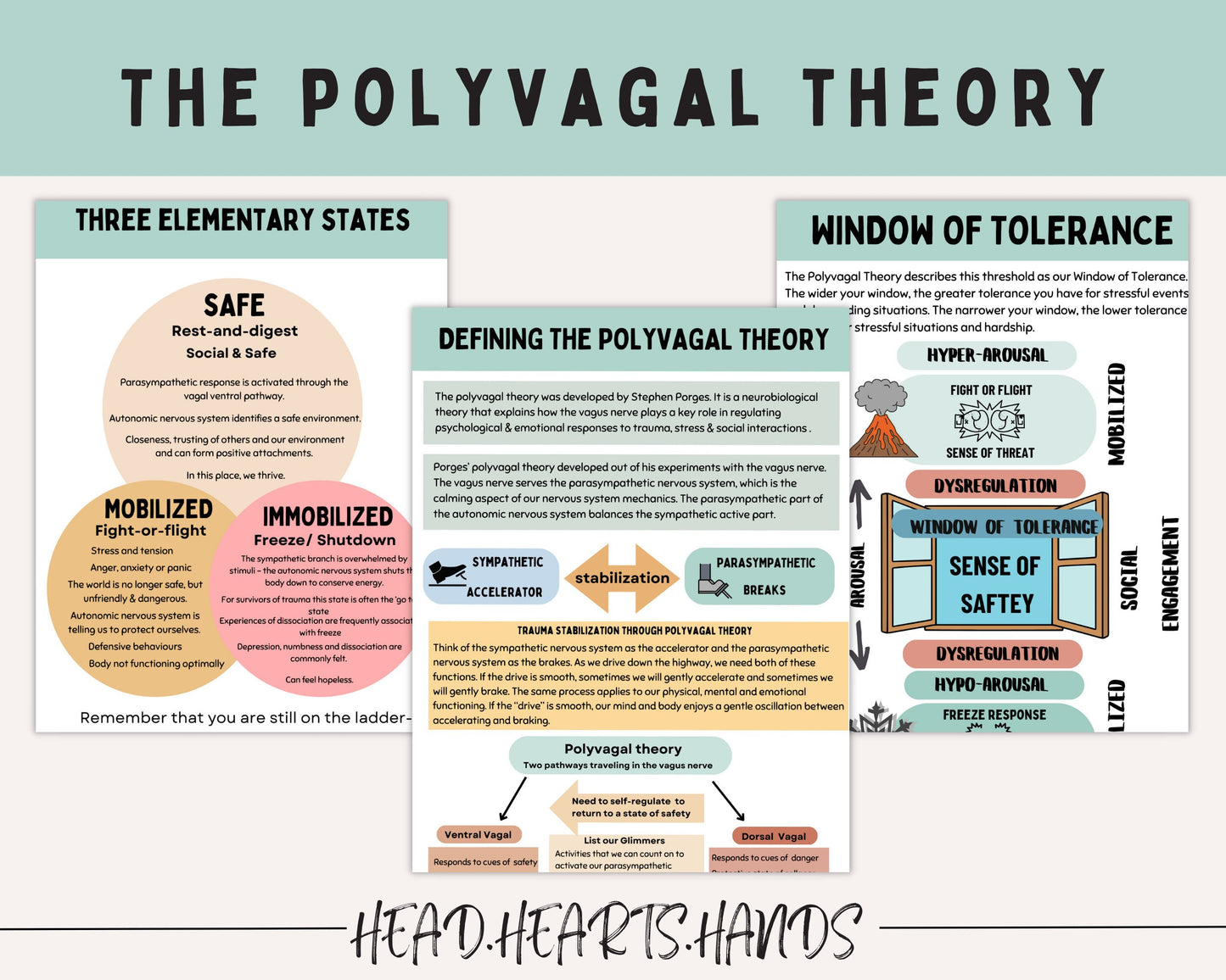 Polyvagal Theory Chart: Nervous System Regulation.