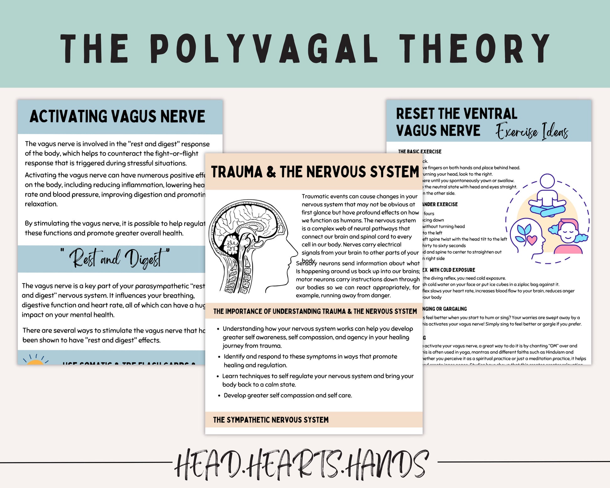 Polyvagal Theory Chart: Nervous System Regulation.