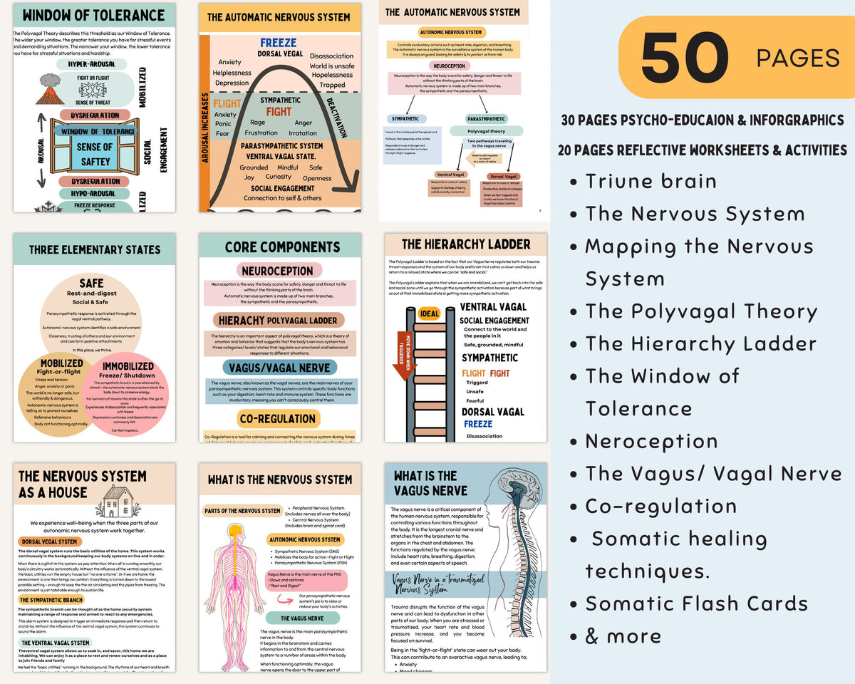 Nervous System Regulation Workbook: Trauma Therapy – TherapywithCT
