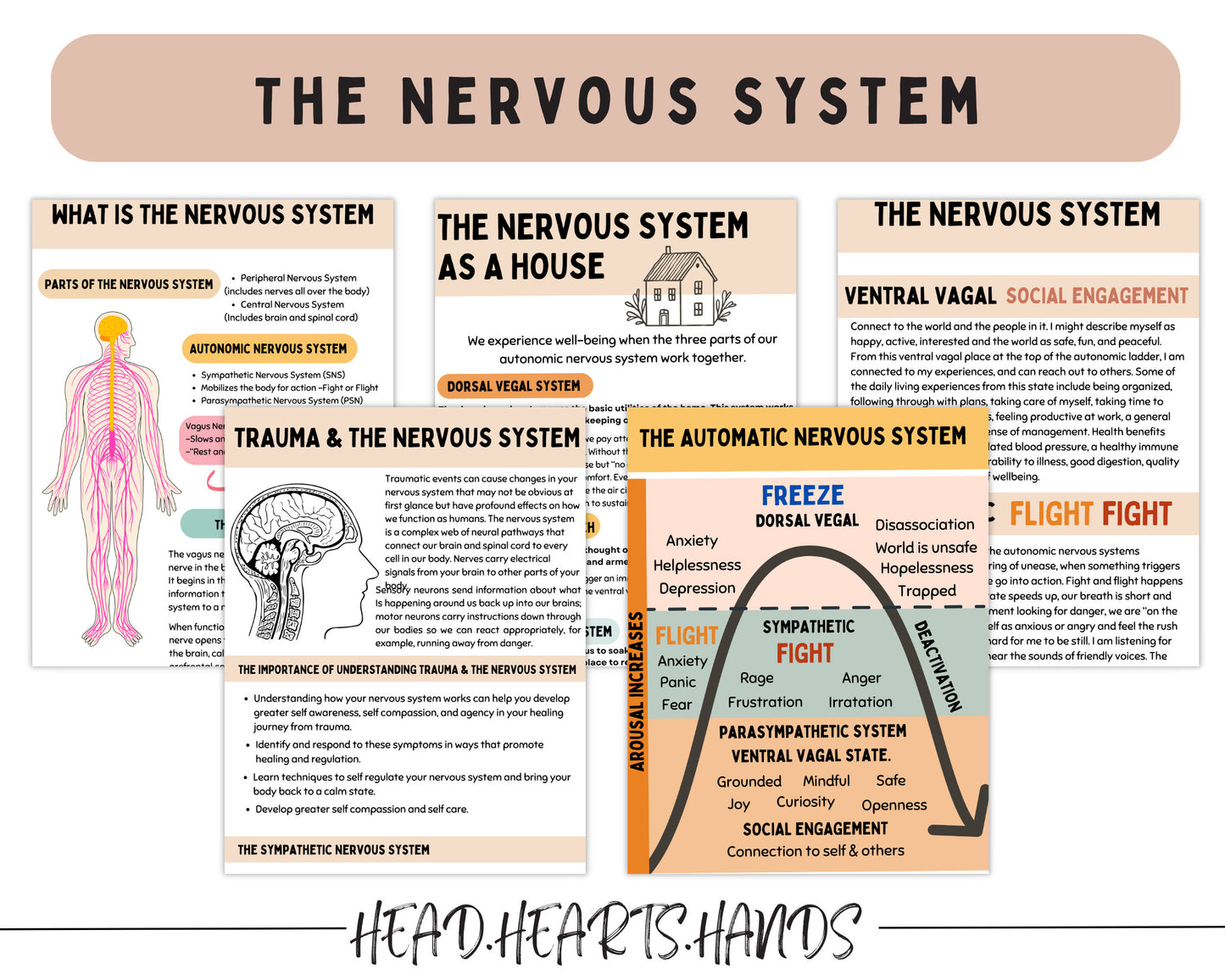 A detailed Polyvagal Ladder worksheet helping users explore emotional states and self-regulation strategies for healing.