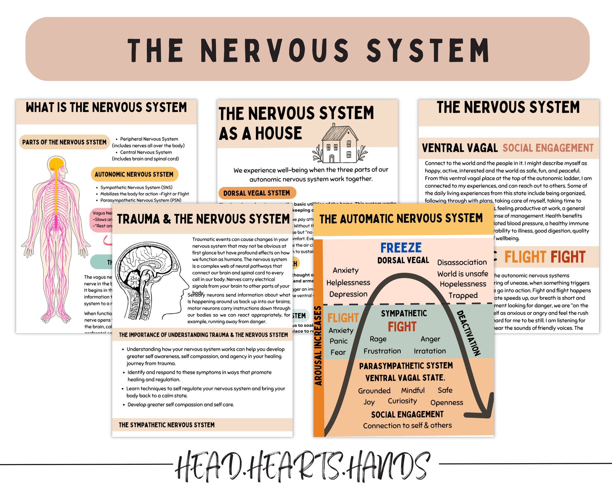 A detailed Polyvagal Ladder worksheet helping users explore emotional states and self-regulation strategies for healing.