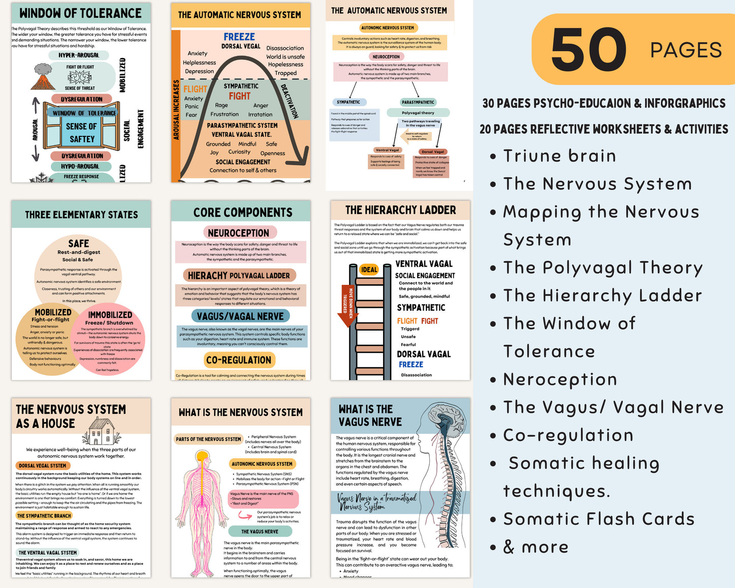 A colorful infographic from the Polyvagal Theory Workbook explaining the nervous system and its connection to trauma recovery.