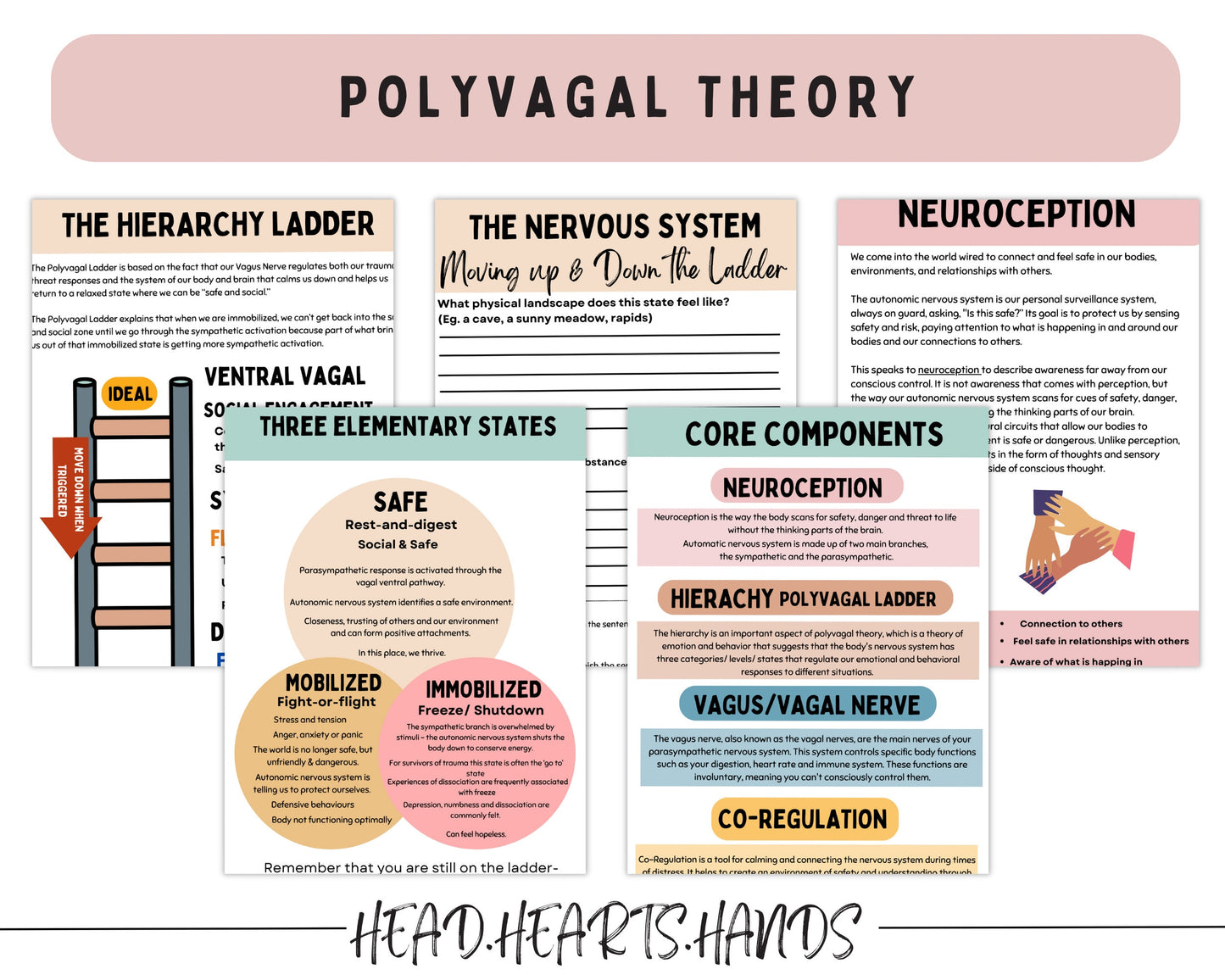 A guided chart from the workbook showcasing vagus nerve exercises to support nervous system regulation.