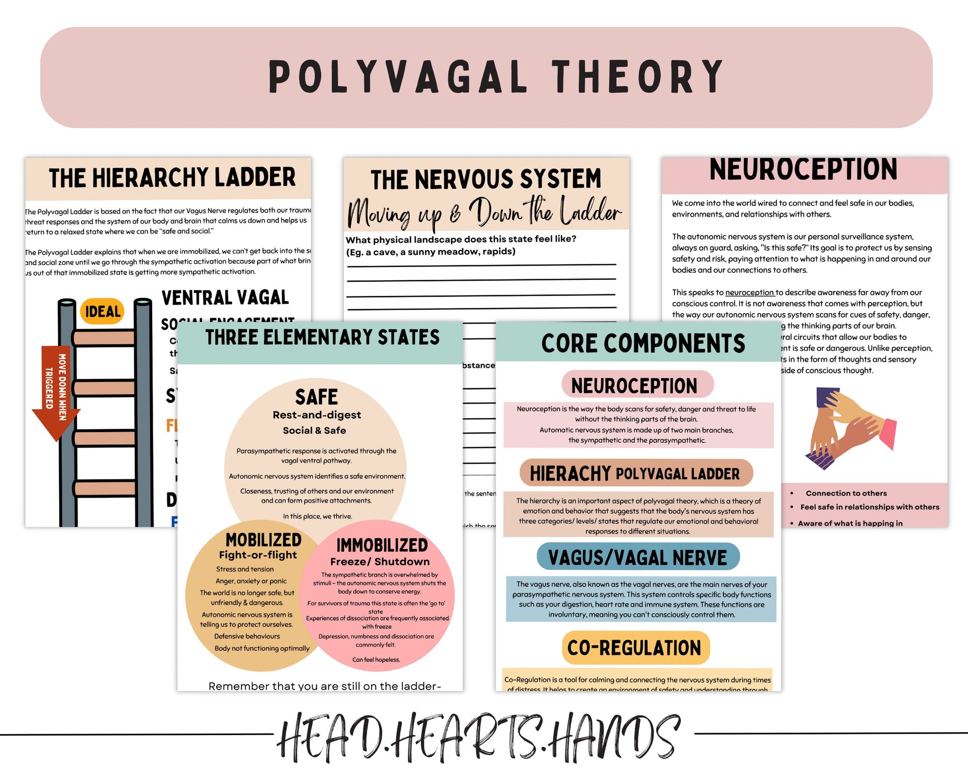 A guided chart from the workbook showcasing vagus nerve exercises to support nervous system regulation.