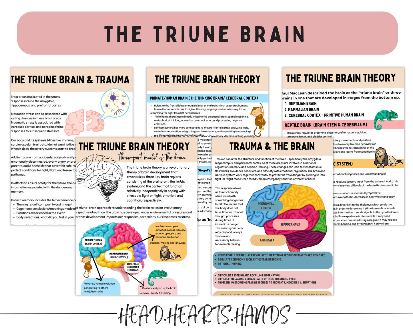 A Window of Tolerance worksheet helping individuals track emotional states and build resilience through regulation techniques.